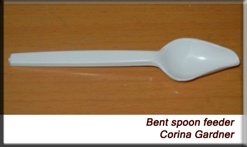 Devna Arora - Bent spoon feeder